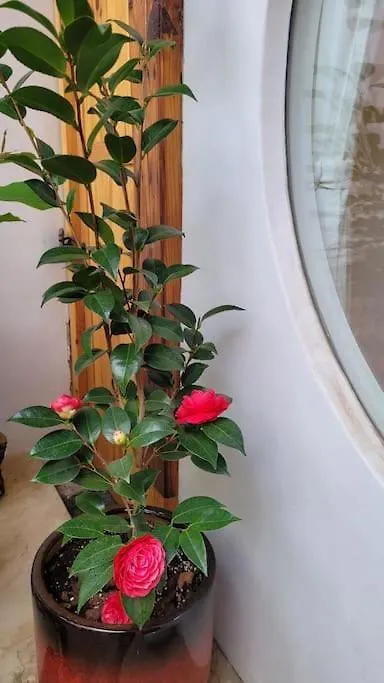 Holiday home Private Hanok Space Moda Seoul South Korea